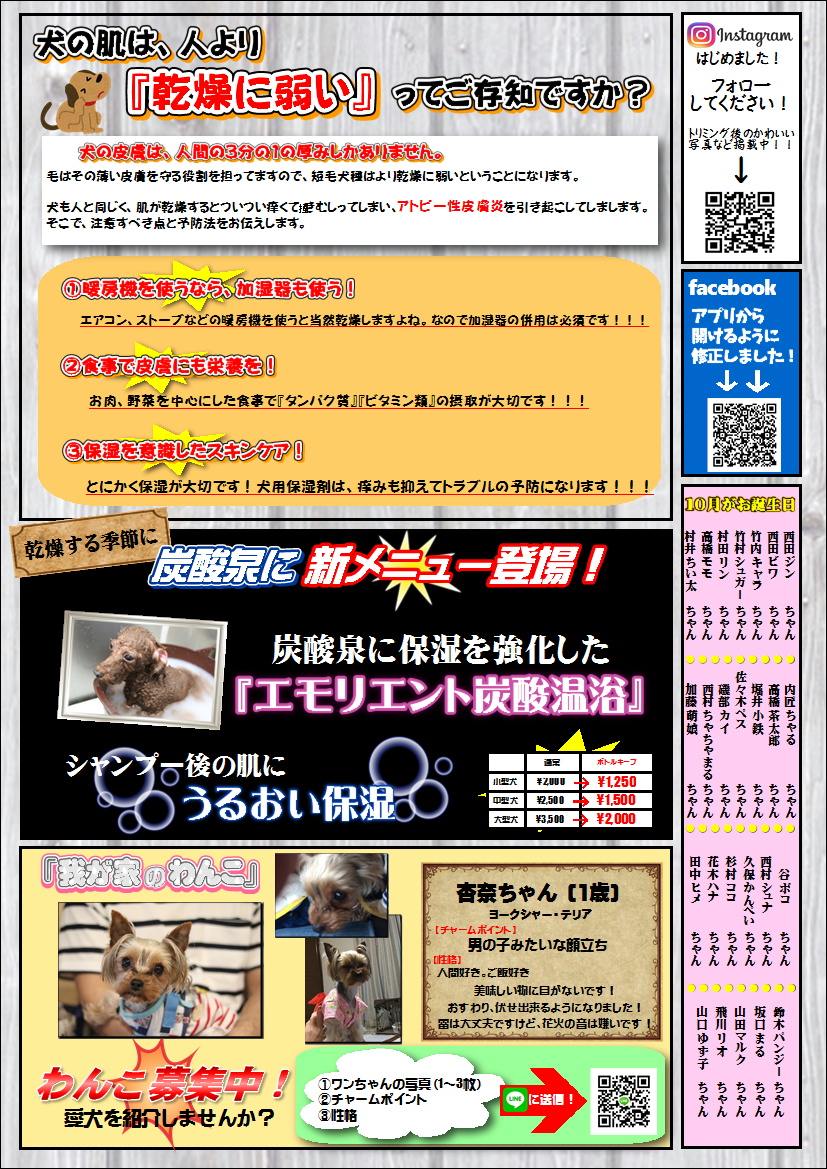 パピーズハウスミサキ／滋賀県のペットショップ・子犬販売・トリミング・ペットホテル・グッズ販売